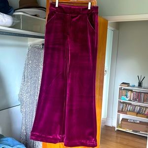 Express Velvet Pants